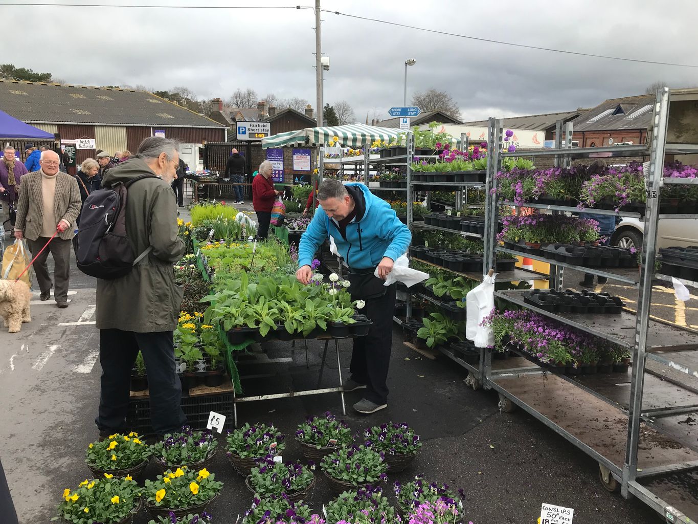 New Sunday market could be coming to Dorchester